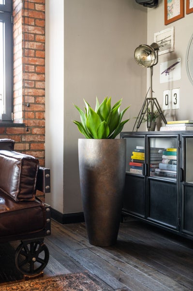 Hohes, konisches Pflanzgefäß mit Metallic-Finish und Agave in einem modern eingerichteten Wohnraum im Industrial-Stil.