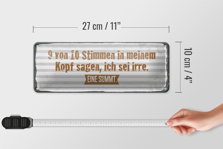 Blechschild Spruch 27x10 cm 9 von 10 Stimmen in meinem Kopf Dekoration