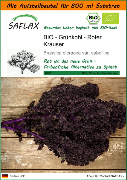 SAFLAX Garden in the bag - BIO - Grünkohl - Roter Krauser - Brassica oleracea var. sabellica - 50 Samen - Mit Anzuchtsubstrat im praktischen, selbst aufstellenden Beutel