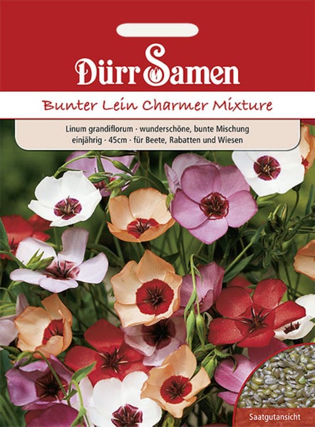 Dürr Samen Logo auf Samentüte Bunter Lein Charmer Mixture, Linum grandiflorum, circa 45 Zentimeter hoch, mit bunten Blüten und Saatgutansicht.
