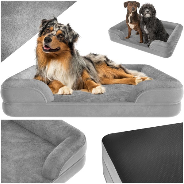 Graues Hundebett mit Liegefläche und zwei Hunden