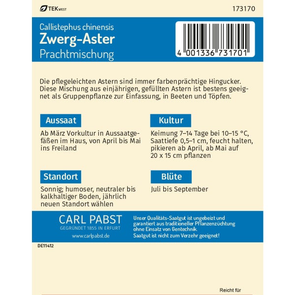 Zwerg - Aster Prachtmischung Samen von Pabst Keimkraft