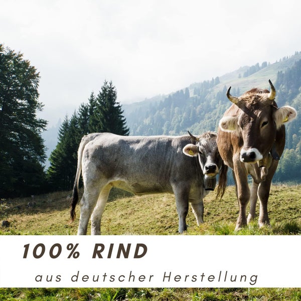 Zwei Kühe auf einer Weide, deutsches Produkt