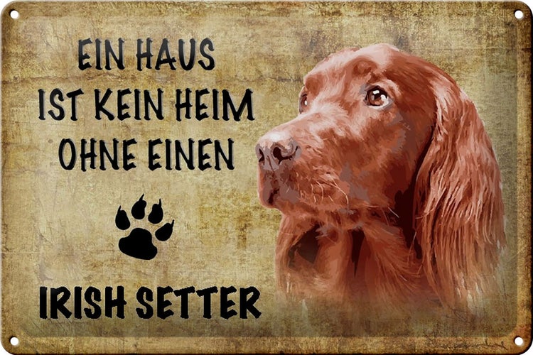 Blechschild Spruch 30x20cm Irish Setter Hund ohne kein Heim