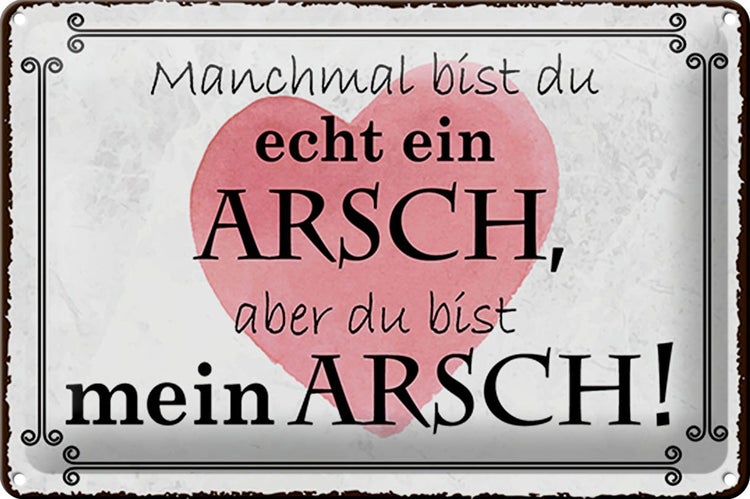 Blechschild Spruch 30x20cm manchmal bist du ein ARSCH aber