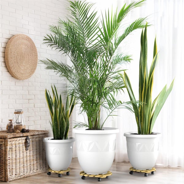 Plastard Blumentopf Ø40 cm Weiß inkl. Pflanzenroller – Wetterfest & Mobil