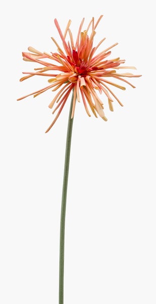 Künstliche Gerbera mit schmalen, pfirsichfarbenen Blütenblättern an einem grünen Stiel.