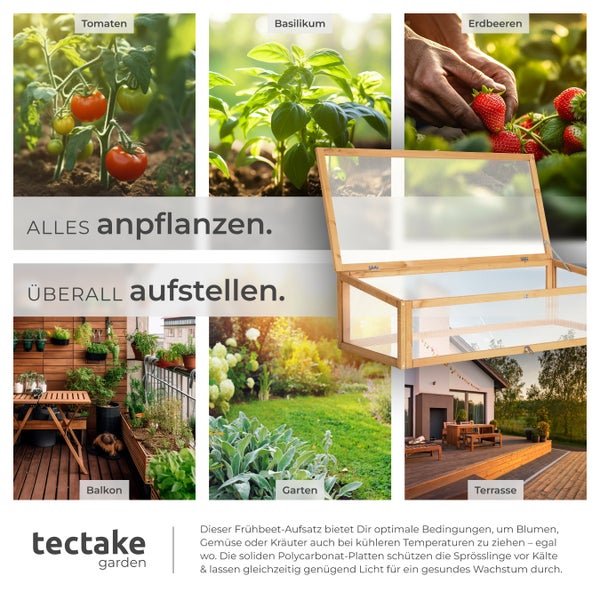 Abbildung von Tomaten, Basilikum, Erdbeeren, Balkon, Garten, Terrasse und einem Frühbeet zur Anzucht von Pflanzen.