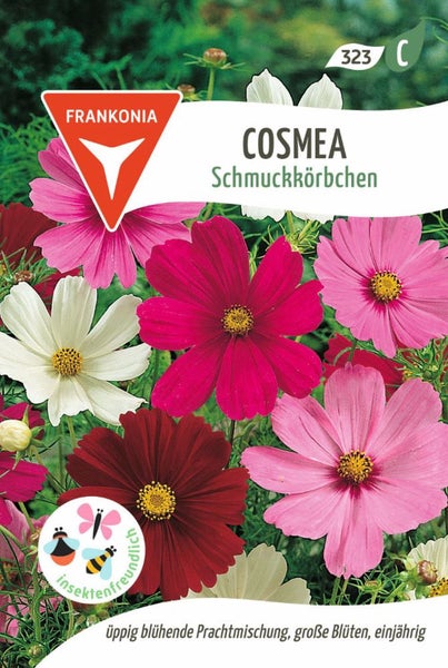 Cosmea Schmuckkörbchen flower seed packet