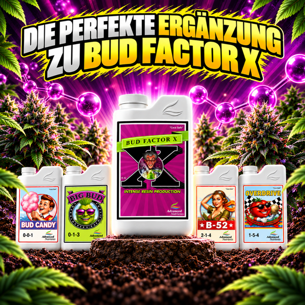 Düngerflaschen von Advanced Nutrients mit Bud Factor X, Bud Candy, Big Bud, B-52 und Overdrive für intensives Pflanzenwachstum und Blütenbildung.