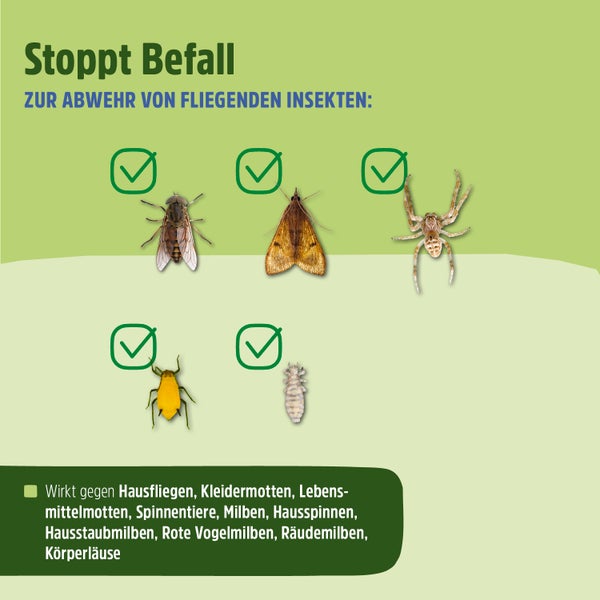 Insektenspray | Stoppt den Befall