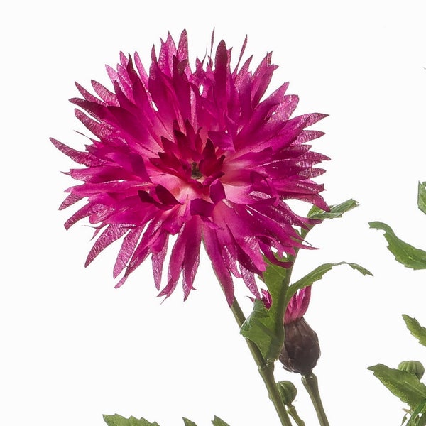 Künstliche Flockenblume in Magenta mit gezackten Blütenblättern und grünem Stiel.