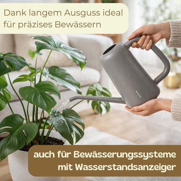 Zimmerpflanze wird in einem hellen Wohnzimmer mit einer grauen Kunststoff-Gießkanne mit langem Ausguss präzise bewässert.