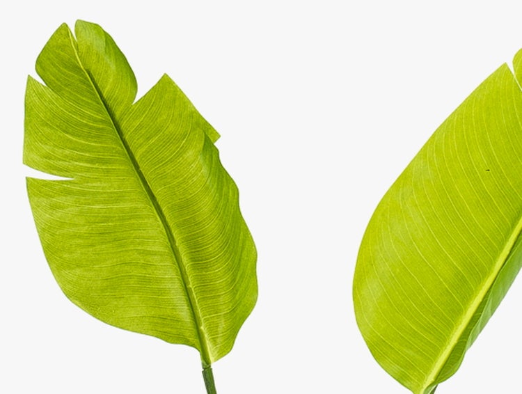 Nahaufnahme einer künstlichen Palme mit grünen Wedeln und realistischem Stamm.