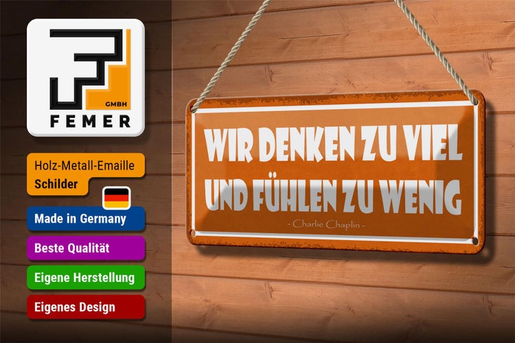 Blechschild Spruch 27x10cm wir denken viel und fühlen wenig Dekoration