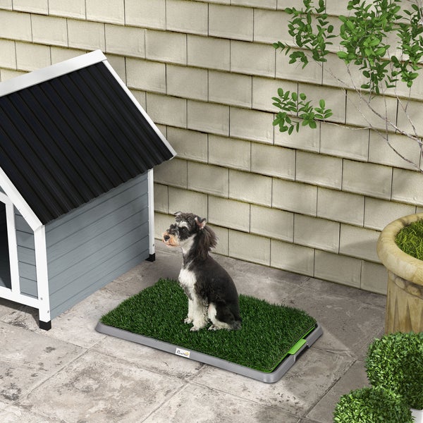 PawHut Hundetoilette, 67L x 41B x 3,5H cm, Kunststoff, PE, Grün