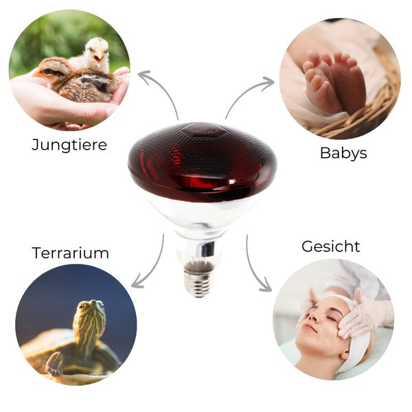 Infrarotlampe mit verschiedenen Anwendungsbereichen, wie Tieraufzucht, Babyzimmer, Terrarium und Kosmetik