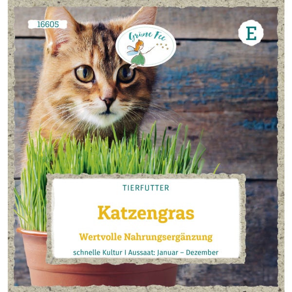 Katzengras Wertvolle Nahrungsergänzung Samen von Grüne Fee