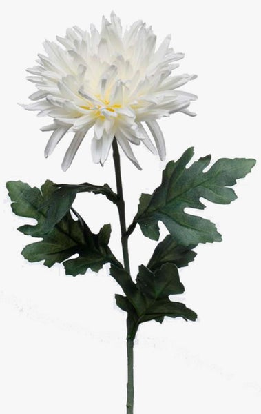Weiße künstliche Chrysantheme mit grünem Stiel und mehreren grünen Blättern.