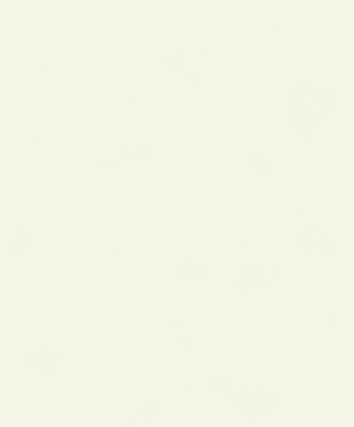 Leeres Metallregal mit vier Ebenen