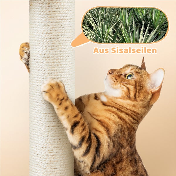Katze kratzt an einem Kratzbaum aus Sisal