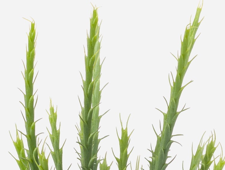 Quadratische künstliche Heckenplatte mit grünen Blättern und lila Blüten für die Wandgestaltung