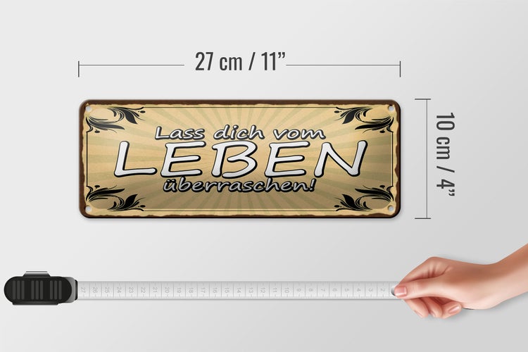 Blechschild Spruch 27x10cm lass dich vom Leben überraschen Dekoration