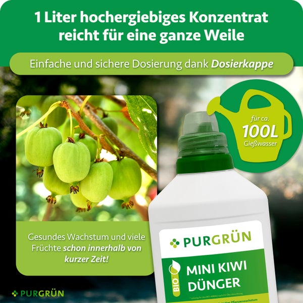 Purgrün Mini Kiwi Dünger Konzentrat 1 Liter für gesundes Pflanzenwachstum mit Dosierkappe für 100 Liter Gießwasser