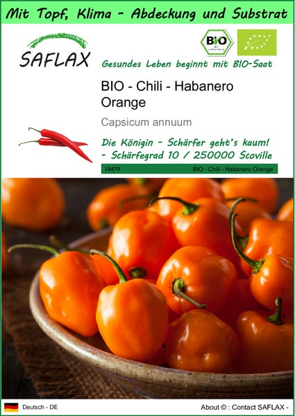 SAFLAX Garden to go - BIO - Chili - Habanero Orange - Capsicum annuum - 20 Samen - Mit Topf, Klima - Deckel und Anzuchtsubstrat