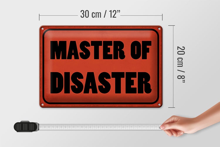 Blechschild Spruch 30x20cm Master of Disaster Schild