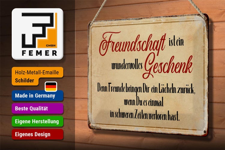 Blechschild Spruch 30x20cm Freundschaft ist ein wundervolles