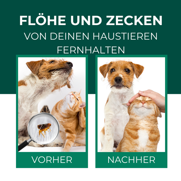 Silberkraft Floh- und Zeckenspray 100ml ml für Hund, Katze & andere Haustiere, ideales Anti-Zecken Mittel, hilft gegen Flöhe, Zecken, Parasiten & Ungeziefer, Made in Germany