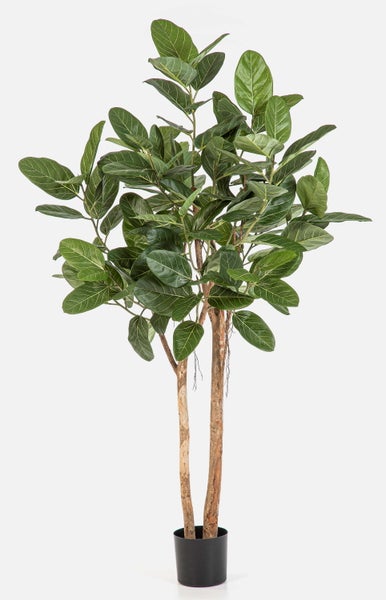 Künstliche Pflanze Ficus mit mehreren Stämmen und großen grünen Blättern im schwarzen Topf.