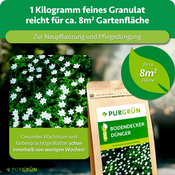 PURGRÜN Bodendecker Dünger im wiederverschließbaren Beutel für 8 Quadratmeter, ideal für die Neupflanzung und Pflegedüngung von Bodendeckern.