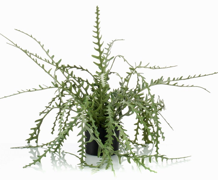 Künstliche Pflanze mit gezackten grünen Blättern in einem schwarzen Topf.