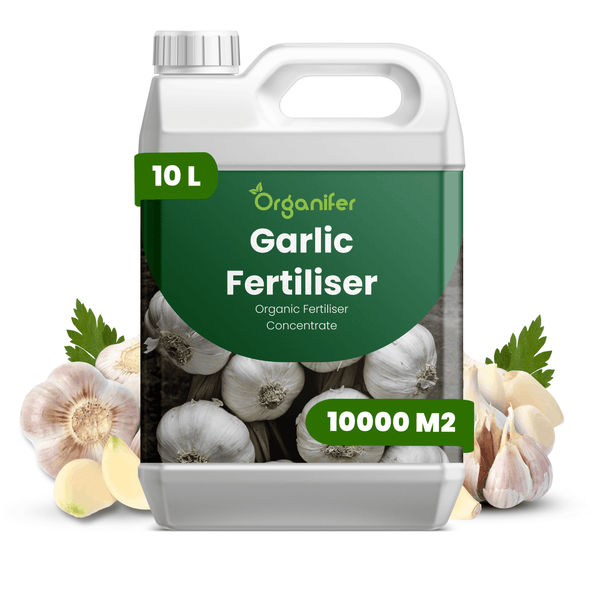 Organifer Knoblauchdünger, organisches Düngerkonzentrat, 10 Liter für 10.000 Quadratmeter, Organifer Logo.
