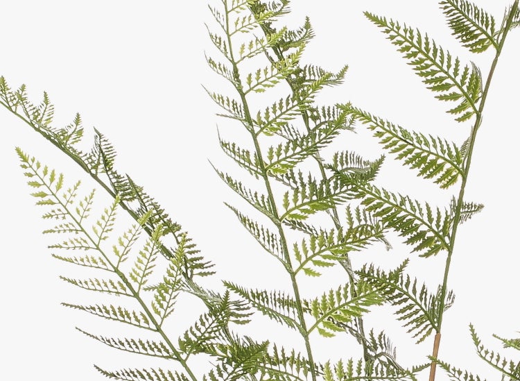 Künstlicher Farn mit grünen Blättern und braunen Stielen.