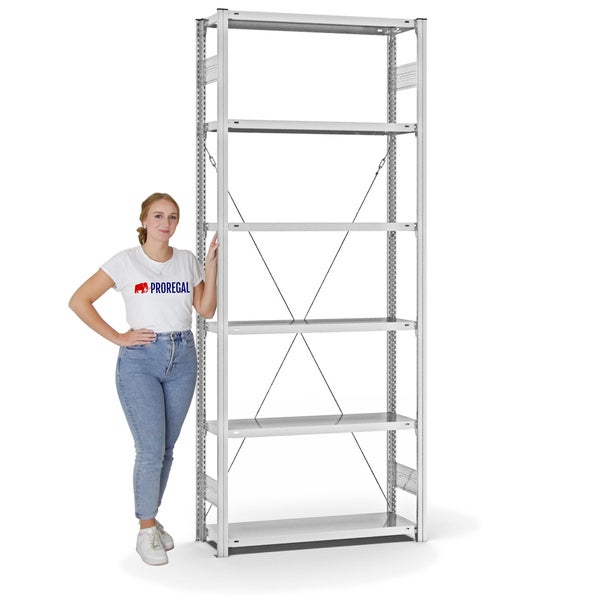 PROREGAL Fachbodenregal Stecksystem T-Profil Light-Duty Grundregal HxBxT 250 x 100 x 30 cm 6 Ebenen Fachlast 150 kg Einseitig Nutzbar Lichtgrau