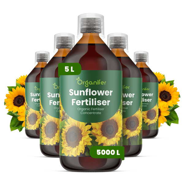Fünf braune Flaschen Organifer organisches Sonnenblumendünger-Konzentrat, insgesamt 5 Liter, mit Sonnenblumenmotiven.