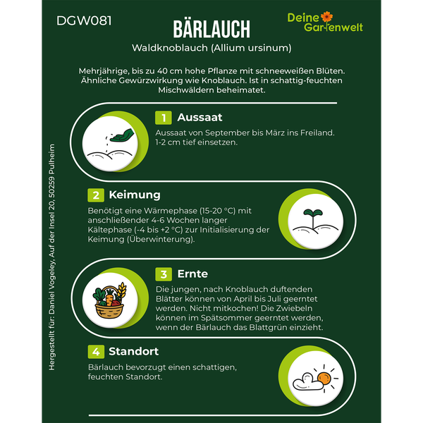 Infografik für Bärlauch-Samen von Deine Gartenwelt Logo mit Hinweisen zu Aussaat, Keimung, Ernte und einem schattigen Standort.