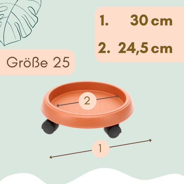 Pflanzenroller der Größe 25 mit den Maßen 30 Zentimeter und 24,5 Zentimeter