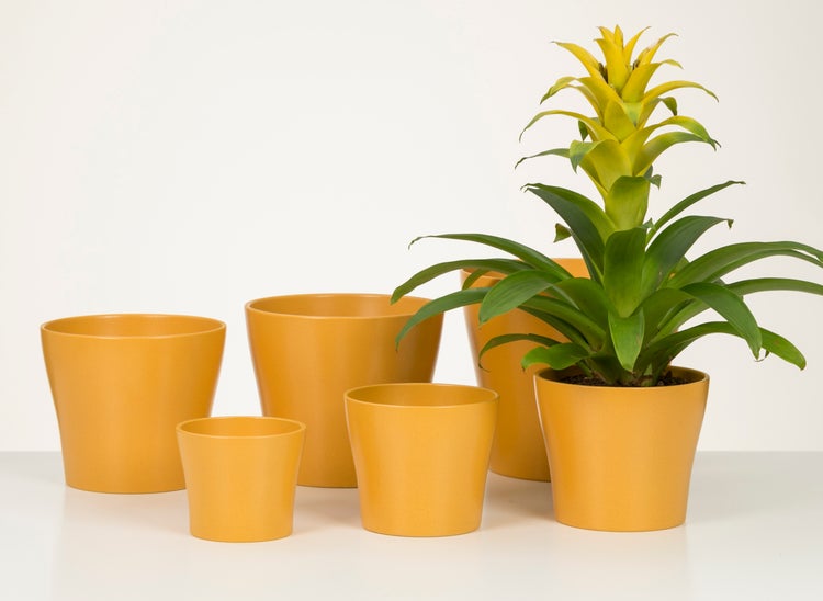 Scheurich Blumentopf aus Keramik,  Farbe: Curcuma, 19 cm Durchmesser, 16 cm hoch, 2,9 l Vol.