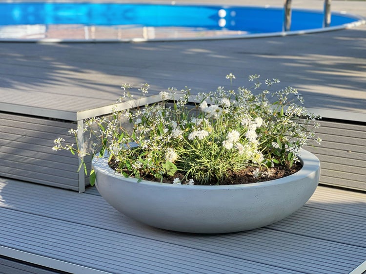 Runde Pflanzschale in Betonoptik mit weißen Blumen auf einer Terrasse neben einem Pool.