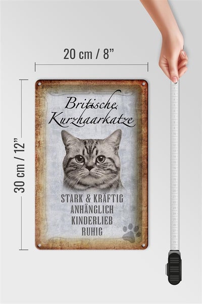 Blechschild Spruch 20x30cm britische kurzhaarkatze Schild