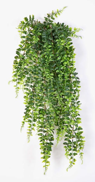 Künstliche Hängepflanze aus Kunststoff mit kleinen grünen Blättern.