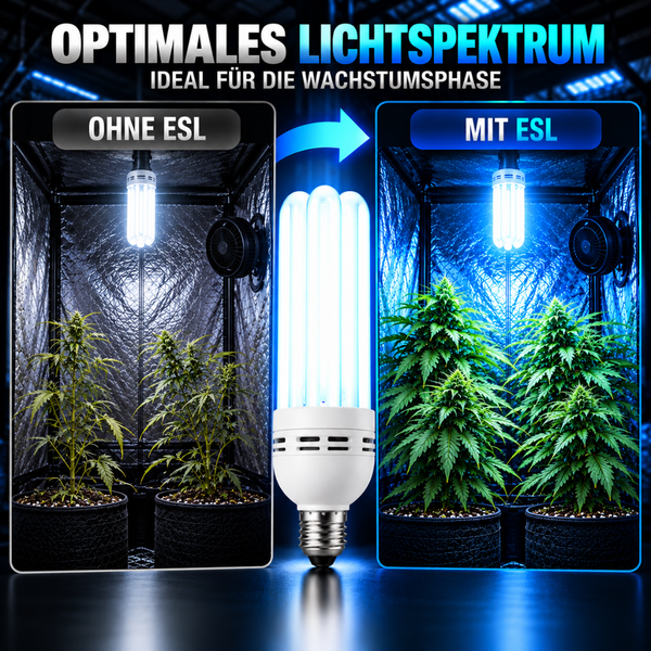 Vergleichsbild einer Pflanzenlampe Energiesparlampe zur Pflanzenbeleuchtung in einer Growbox für das optimale Lichtspektrum in der Wachstumsphase