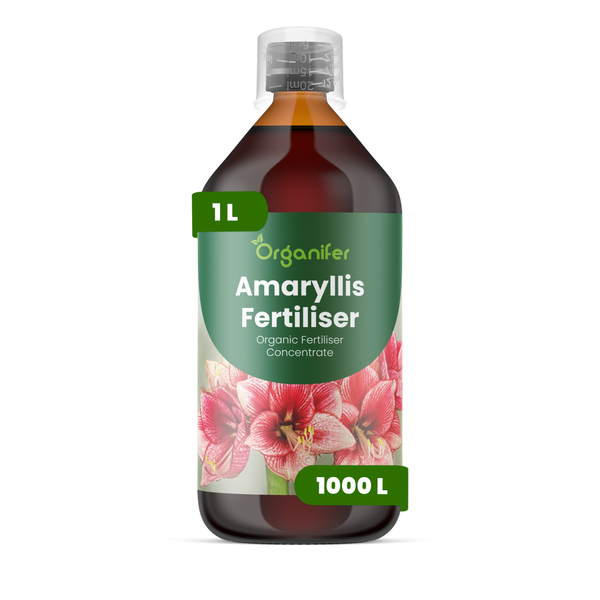 Organifer Amaryllis Dünger, organisches Düngerkonzentrat, 1 Liter Flasche, ausreichend für 1000 Liter Wasser.