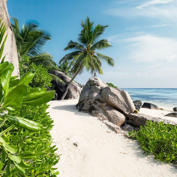 Tropischer Strand mit Felsen und Palmen