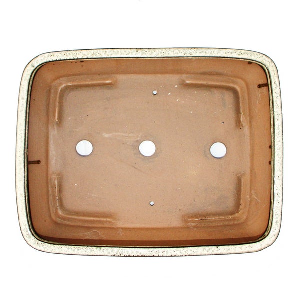 Tapete mit Dinosaurier und Pflanzenmuster