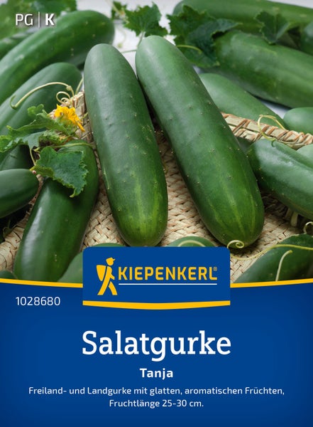Kiepenkerl Saatgut Salatgurke Tanja für Freiland und Landgurken mit aromatischen Früchten von 25 bis 30 Zentimetern Länge